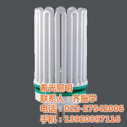 內(nèi)蒙古赤峰大功率節(jié)能燈,希光照明,4u大功率節(jié)能燈
